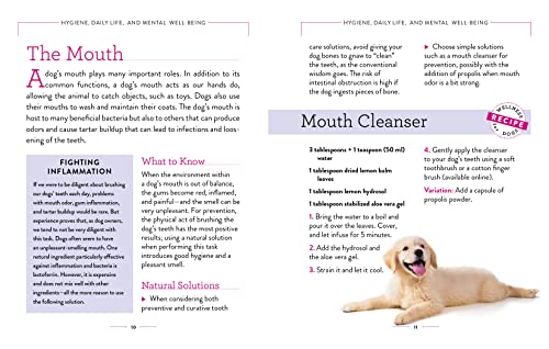 Dog Wellness: Health, Hygiene & Happiness Guide