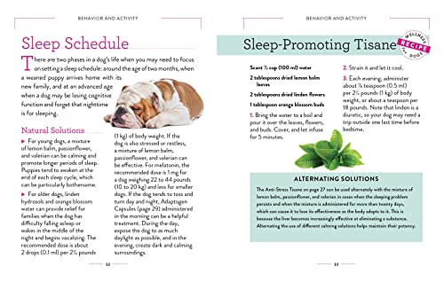 Dog Wellness: Health, Hygiene & Happiness Guide