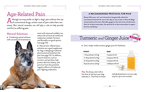 Dog Wellness: Health, Hygiene & Happiness Guide