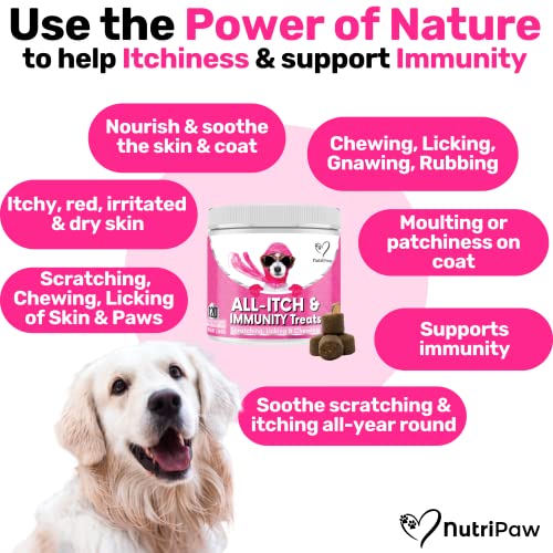 Allergy Relief Treats for Dogs - Soothe Itchy Pets
