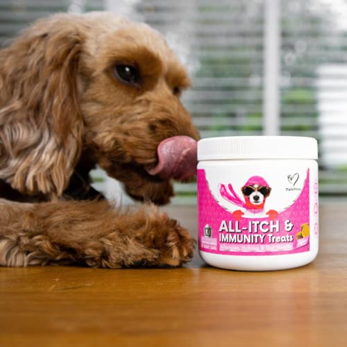 Allergy Relief Treats for Dogs - Soothe Itchy Pets
