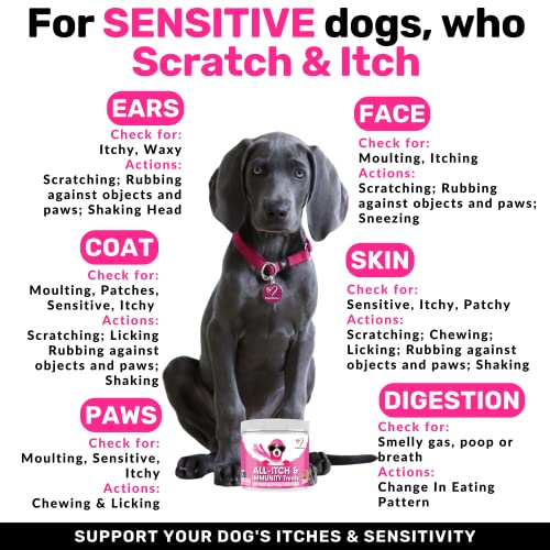 Allergy Relief Treats for Dogs - Soothe Itchy Pets