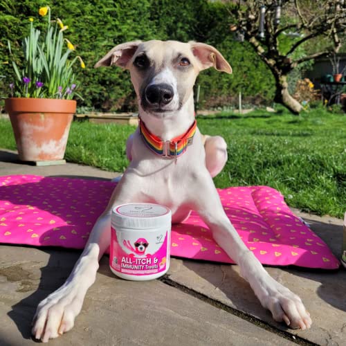 Allergy Relief Treats for Dogs - Soothe Itchy Pets