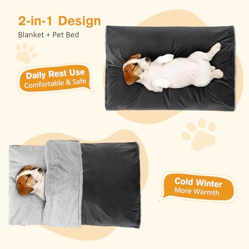 Cozy Self-Heating Dog Bed with Blanket - Medium/Large Dogs