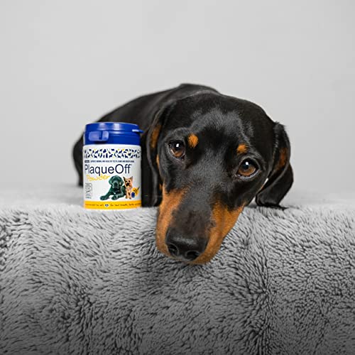 ProDen PlaqueOff Powder for Small Dogs | Bad Breath, Plaque, Tartar