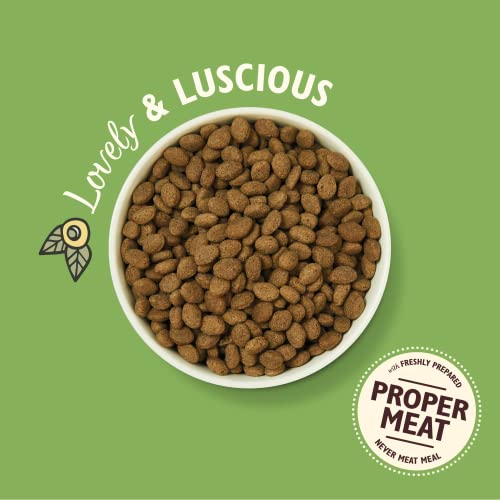 Lily’s Kitchen Natural Adult Dog Food Shepherd’s Pie 1kg