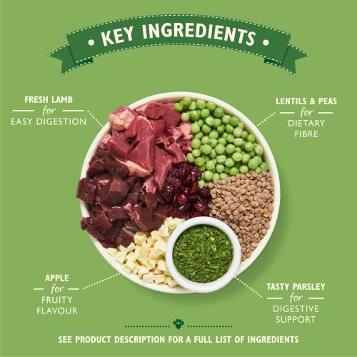 Lily’s Kitchen Natural Adult Dog Food Shepherd’s Pie 1kg