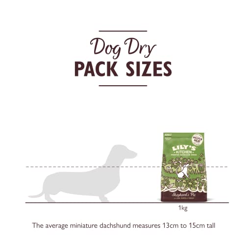 Lily’s Kitchen Natural Adult Dog Food Shepherd’s Pie 1kg