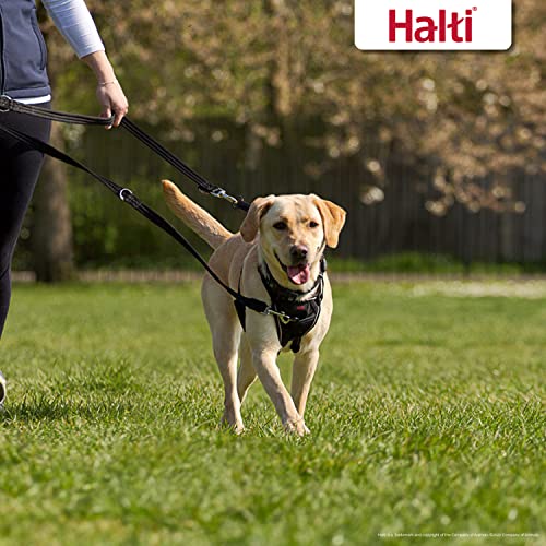 HALTI Training Lead - Small, Black, Lightweight & Durable