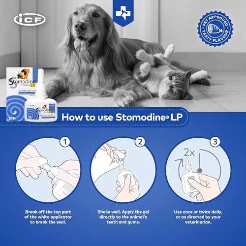 Stomodine Toothpaste Gel for Dogs - 50 ml