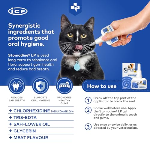 Stomodine Toothpaste Gel for Dogs - 50 ml