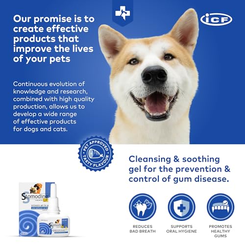 Stomodine Toothpaste Gel for Dogs - 50 ml