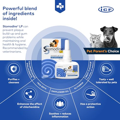 Stomodine Toothpaste Gel for Dogs - 50 ml