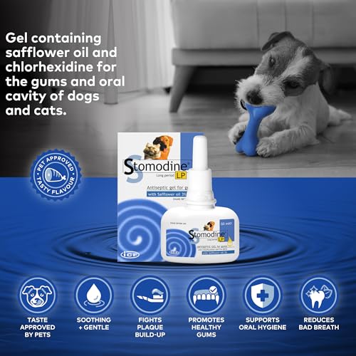Stomodine Toothpaste Gel for Dogs - 50 ml