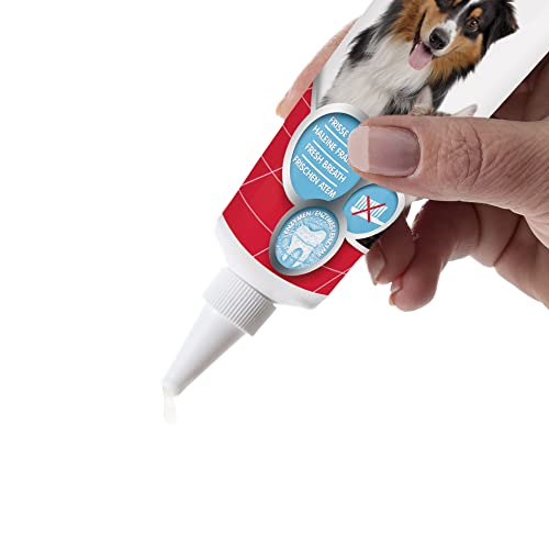 Beaphar Dental Care Toothgel | Non-Brush Alternative | Dogs & Cats