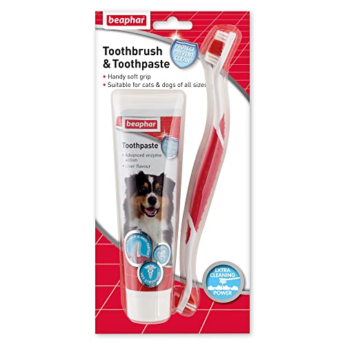 Dog Toothbrush and Toothpaste Kit | Double-Ended Brush, Liver-Flavoured Paste
