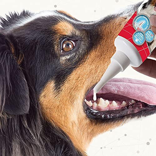 Beaphar Dental Care Toothgel | Non-Brush Alternative | Dogs & Cats