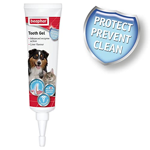 Beaphar Dental Care Toothgel | Non-Brush Alternative | Dogs & Cats