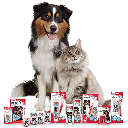 Dog Toothbrush and Toothpaste Kit | Double-Ended Brush, Liver-Flavoured Paste