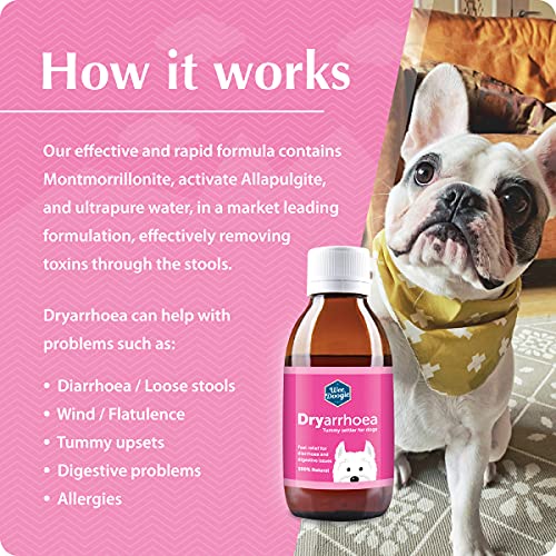 Natural Fast Effective Tummy Settler for Dogs