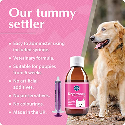 Natural Fast Effective Tummy Settler for Dogs