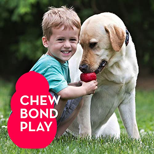 KONG Classic Dog Toy - Durable Rubber, Fun!