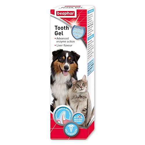 Beaphar Dental Care Toothgel | Non-Brush Alternative | Dogs & Cats