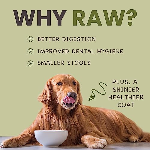 Vale Raw Dog Food - Complete, Hypoallergenic 10KG Mince