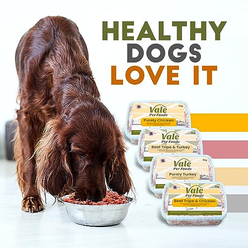 Vale Raw Dog Food - Complete, Hypoallergenic 10KG Mince
