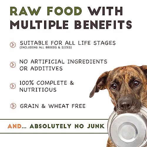 Vale Raw Dog Food - Complete, Hypoallergenic 10KG Mince