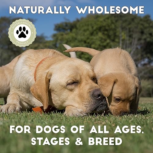 Vale Raw Dog Food - Complete, Hypoallergenic 10KG Mince