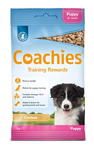 Chicken Flavored Puppy Training Treats - 75g