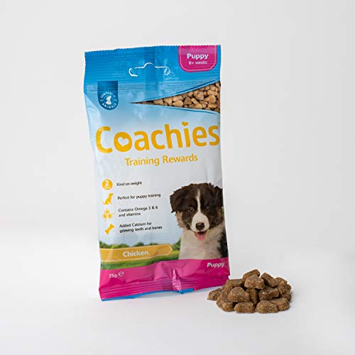 Chicken Flavored Puppy Training Treats - 75g