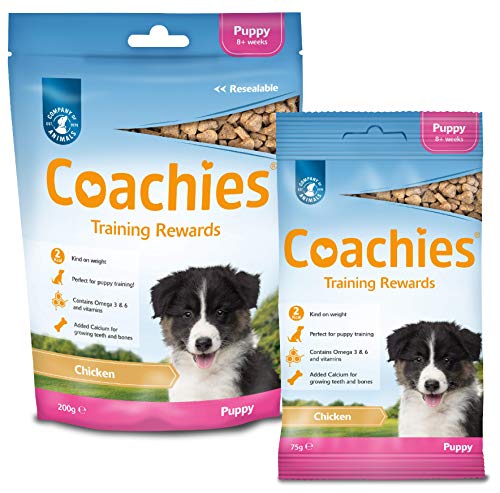 Chicken Flavored Puppy Training Treats - 75g