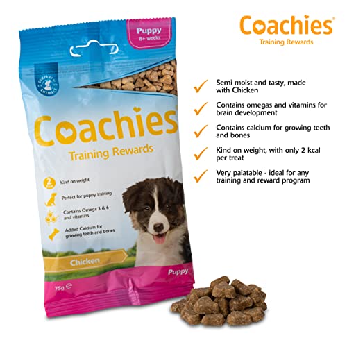 Chicken Flavored Puppy Training Treats - 75g