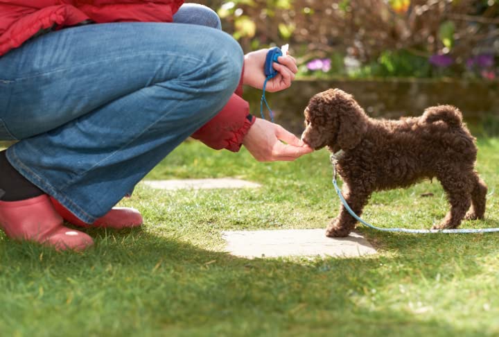 Chicken Flavored Puppy Training Treats - 75g