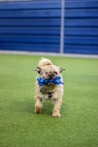 Blue Rope Bone Dental Chew Toy for Dogs