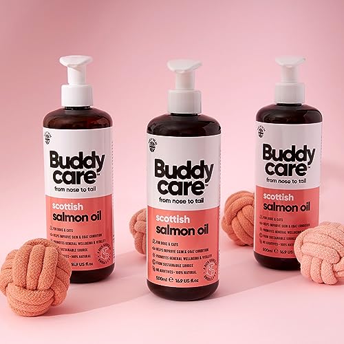 Buddycare Salmon Oil - Natural Supplement for Dogs & Cats - Rich in Omega-3 Fatty Acids for a Healthy Coat and Skin (500ml)