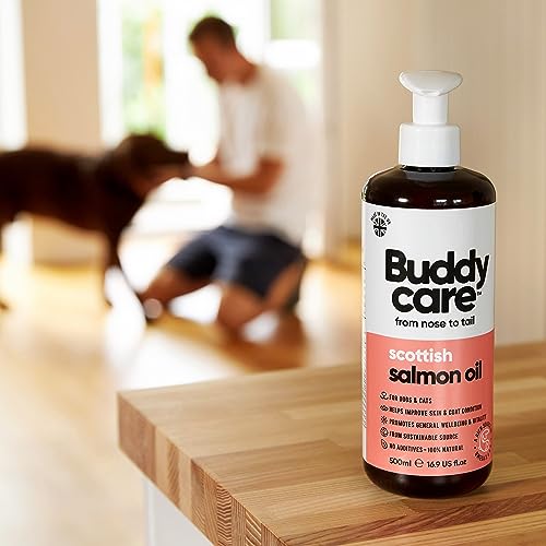 Buddycare Salmon Oil - Natural Supplement for Dogs & Cats - Rich in Omega-3 Fatty Acids for a Healthy Coat and Skin (500ml)