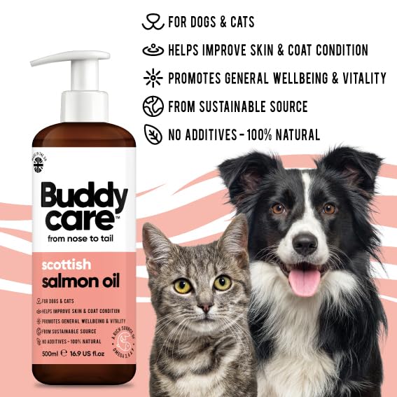 Buddycare Salmon Oil - Natural Supplement for Dogs & Cats - Rich in Omega-3 Fatty Acids for a Healthy Coat and Skin (500ml)