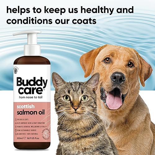 Buddycare Salmon Oil - Natural Supplement for Dogs & Cats - Rich in Omega-3 Fatty Acids for a Healthy Coat and Skin (500ml)