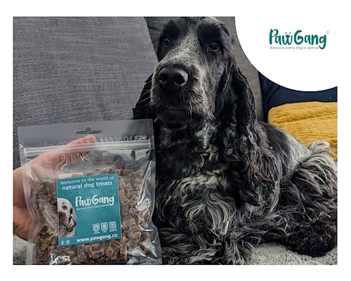 Lamb Meaty Cubes: Natural Training Treats for Dogs