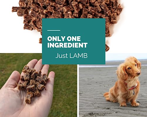 Lamb Meaty Cubes: Natural Training Treats for Dogs