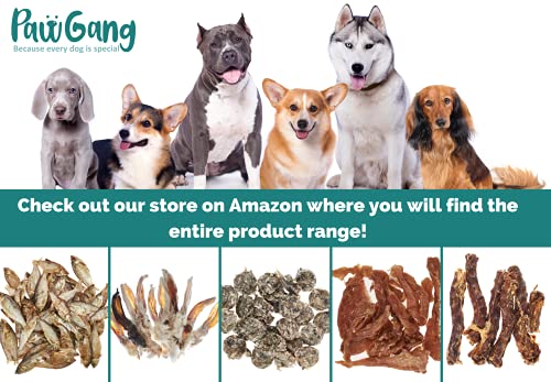 Lamb Meaty Cubes: Natural Training Treats for Dogs