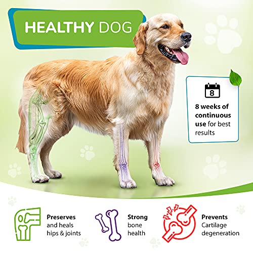 Dog Joint Supplements for Senior Dogs - 120 Tablets