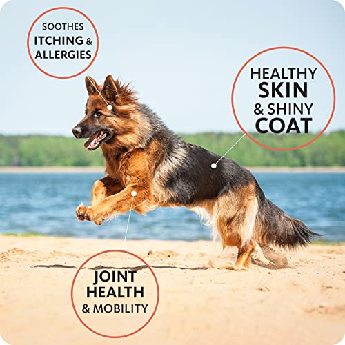 Hofseth BioCare Pure Salmon Oil for Pets (2x300ml)