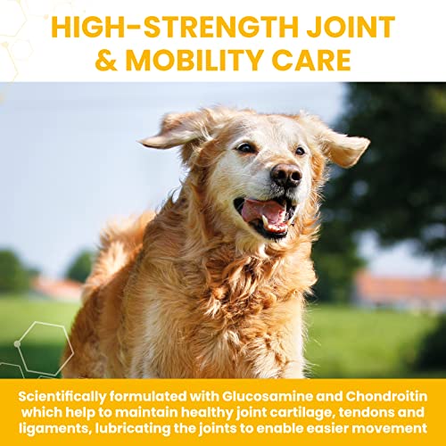 Senior Dog Joint Supplements | Tasty Chicken Treats