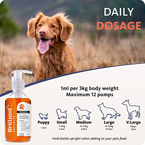 Hofseth BioCare Pure Salmon Oil for Pets (2x300ml)
