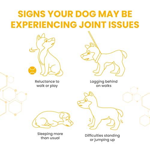Senior Dog Joint Supplements | Tasty Chicken Treats