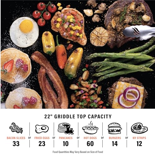 Blackstone 1666 22" Tabletop Griddle, Stainless Steel Faceplate